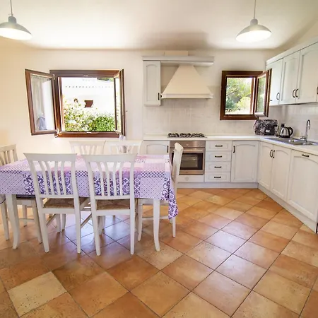 فيلة Gallura Dream